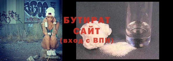 шишки Новодвинск